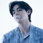 artist image 방탄소년단  (jin and v of bts) it's definitely you 화랑, Pt. 2 (Music from the Original TV Series) - Single