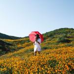 artist image Massage Spa Academy, Zen Spa Music Experts, Beauty Spa Music Collection Sounds of Desert Wind # Best 50: Nature Music, Ambient for Relaxation, Sleep, Meditation & Spa
