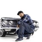 artist image Ice Cube Check Yo Self The Predator