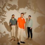 artist image Blue Casette Friendly Fires (Tiga Remix) Blue Cassette (Tiga Remix) - Single