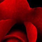 artist image Techno Project, Geny Tur India India - Single