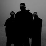artist image Swedish House Mafia Don't Go Mad (feat. Seinabo Sey) Paradise Again