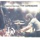 The Cardigans - Lovefool