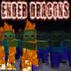 J Rice - Ender Dragons (Minecraft Parody of Radioactive)