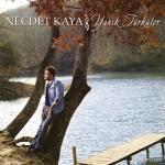 album image Koyverdin Gittin Beni / Gelevera Deresi Yanık Türküler