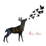 album image Help Me Low Roar