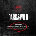album image Boy In Luv (상남자) DARK&WILD