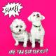 Slaves - Feed The Mantaray