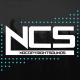 NCS - NCS: The Best of 2016 (Continuous mix)