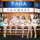 T-ARA - SO CRAZY REMIX