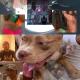 Steve Lacy - Donchano