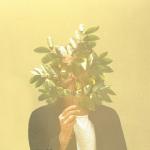 album image Better Give U Up French Kiwi Juice