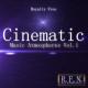 R.f.n. Music & Sound Library - Sub Bass Beat with Metallophone