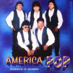 album image Vuelve a Mi Lado (Remix) Cuanto Te Quiero