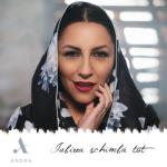 album image Iubirea Schimba Tot Iubirea Schimba Tot - Single