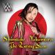 CFO$ - Shadows of a Setting Sun (Shinsuke Nakamura)