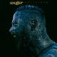 Skillet - Stars