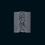 album image Shadowplay Unknown Pleasures (Collector's Edition)