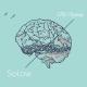 Solow - Cinema Club