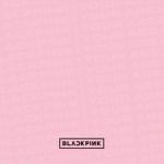 album image BLACKPINK - WHISTLE (AZWZ Remix) BLACKPINK IN YOUR AREA