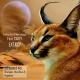 Andrey Exx & Max Lyazgin - Extasy