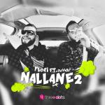 album image Nallane 2 Nallane 2 (feat. Vicky DJ) - Single