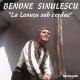 Benone Sinulescu - Foie verde