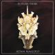 Adam Maalouf feat. Shelley Thomas - Bint El Shalabiya (feat. Shelley Thomas)