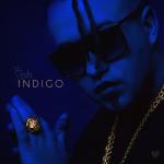 album image Slucajnost Indigo