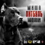album image Питбуль Питбуль