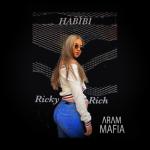 album image Habibi (Slowed + Reverb) Habibi - Single