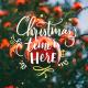 The Macarons Project - Christmas Time Is Here