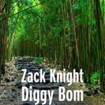 album image Zack Knight & Jasmin Walia - Bom Diggy (Dillon Francis Remix)