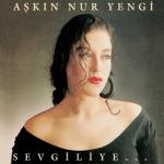 album image Yazık Sevgiliye