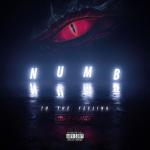album image Numb to the Feeling Numb to the Feeling - Single