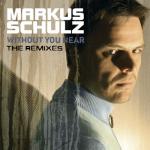 album image In The End (Gabriel & Dresden Remix) Without You Near (The Remixes)