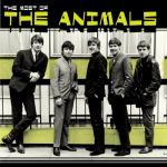 album image I Believe to My Soul Most of the Animals
