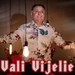 album image E Mare Petrecere Vali Vijelie