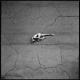 Saro - Please