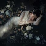 album image Берег OFELIA