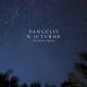 Vangelis - Vangelis: Moonlight Reflections