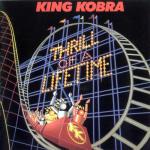 album image Iron Eagle Thrill of a Lifetime