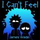 James Wade - I Can't Feel