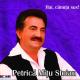 Petrica Mitu Stoian - La Mijlocul Noptii Puiule, Te Astept