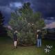 100 gecs, Laura Les, Dylan Brady - 800 db cloud