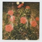 album image i'll die anyway chapter 2 - EP