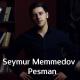 Seymur Memmedov - Niye
