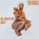 Flo Milli - In The Party