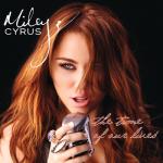 album image Party In The USA remix The Time of Our Lives