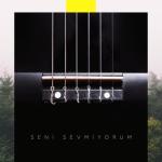album image Seni Sevmiyorum Seni Sevmiyorum - Single